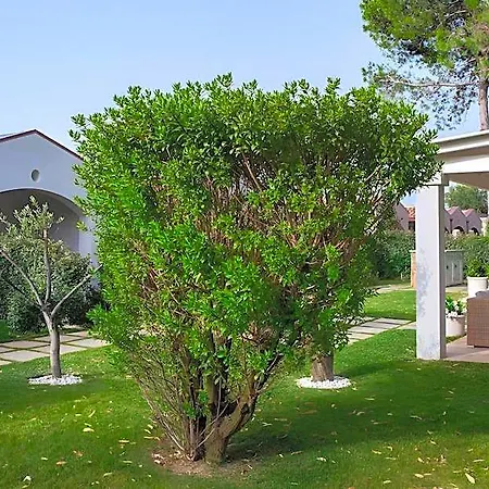 Maristesi Suites&rooms 3* סיניסקולה
