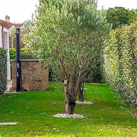 Maristesi Suites&rooms 3*